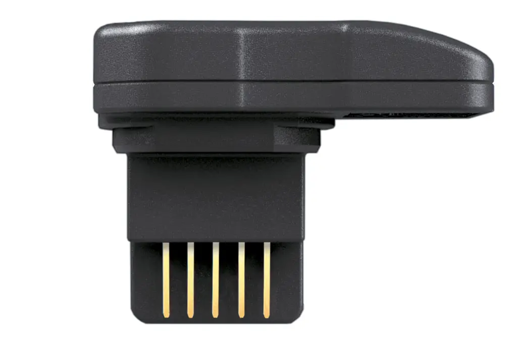 image2.webp