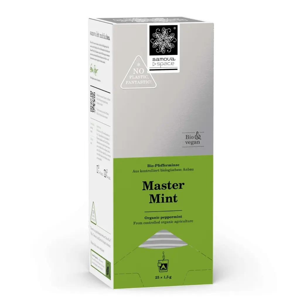 master_mint_space_box_perspektive_webshop_1280x1280.webp