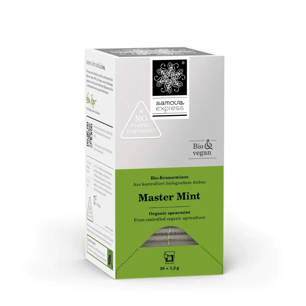 master_mint_express_perpektive_webshop_1280x1280.webp