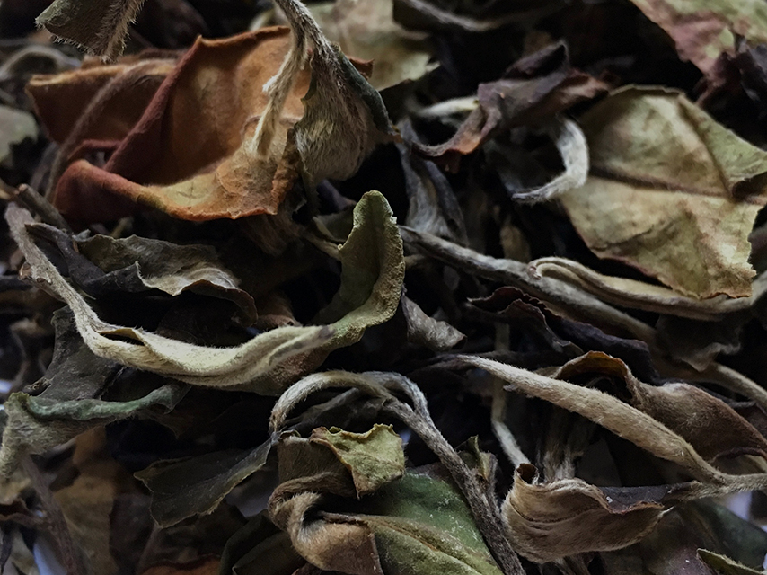 Les Feuilles Vertes Bai Mu Dan 150g