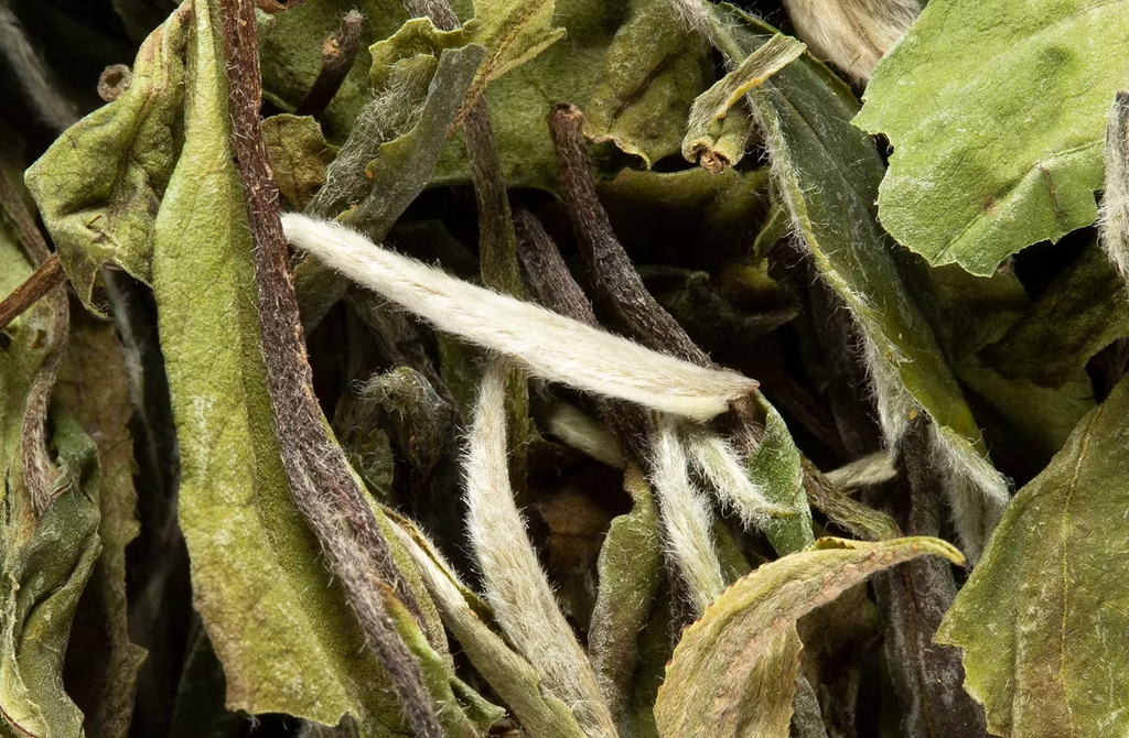 Dammann Frères Pai Mu Tan 250g 