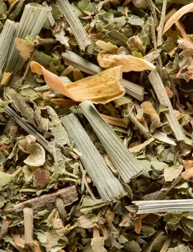 [D3732] Dammann Frères Tisane Du Berger 250g